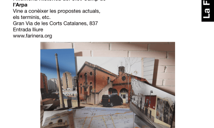 PLA DE PATRIMONI I MPGM AL BARRI. REUNIONS 21 I 22 DE NOVEMBRE